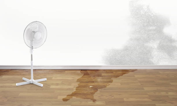 Best 24-hour water damage restoration  in Burley, WA
