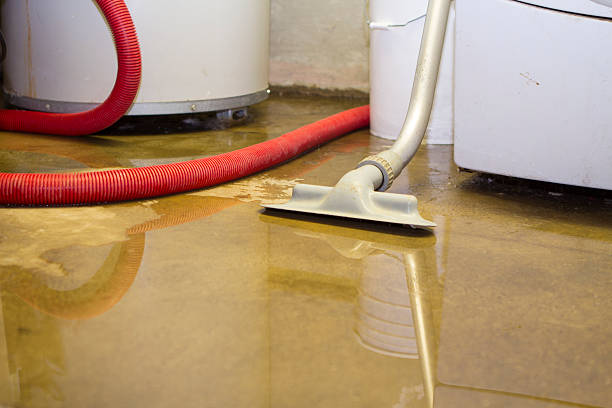 Best Water damage contractors near me  in Burley, WA