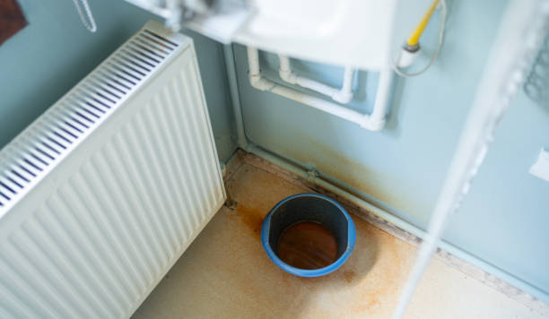 Best Water damage restoration near me  in Burley, WA