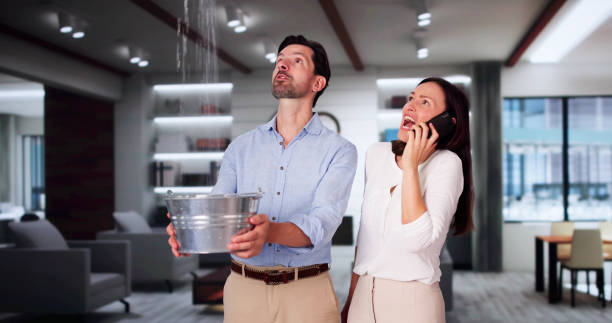 Best Residential water damage restoration  in Burley, WA